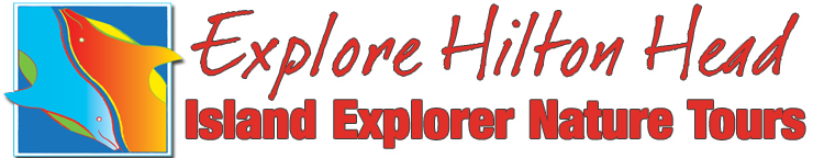 Island Explorer Dolphin & Nature Tours - Logo